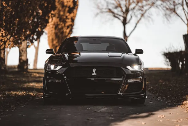 Casino777 Cazino Aplicație Android/iOS